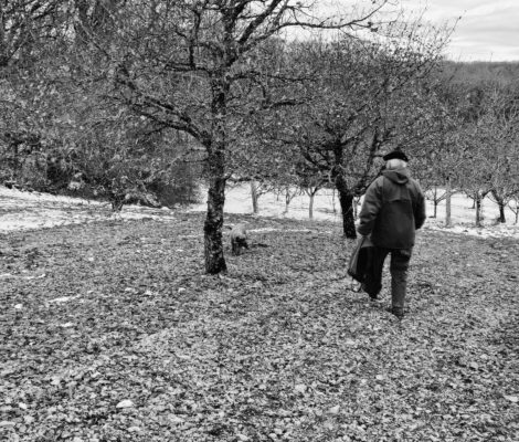 Truffière quercy